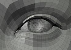 Eye Ball Wireframe Solid - Grey